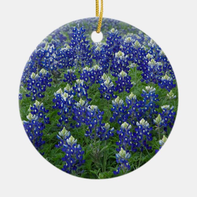 Foto för Texas Bluebonnetsfält Julgransprydnad Keramik (Framsidan)