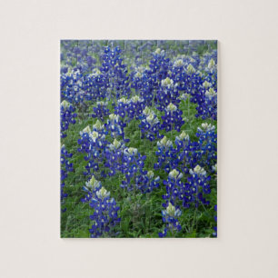 Foto för Texas Bluebonnetsfält Pussel
