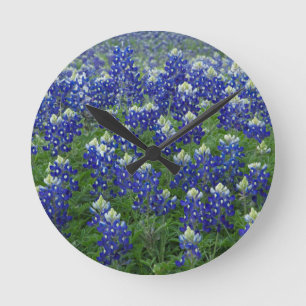 Foto för Texas Bluebonnetsfält Rund Klocka