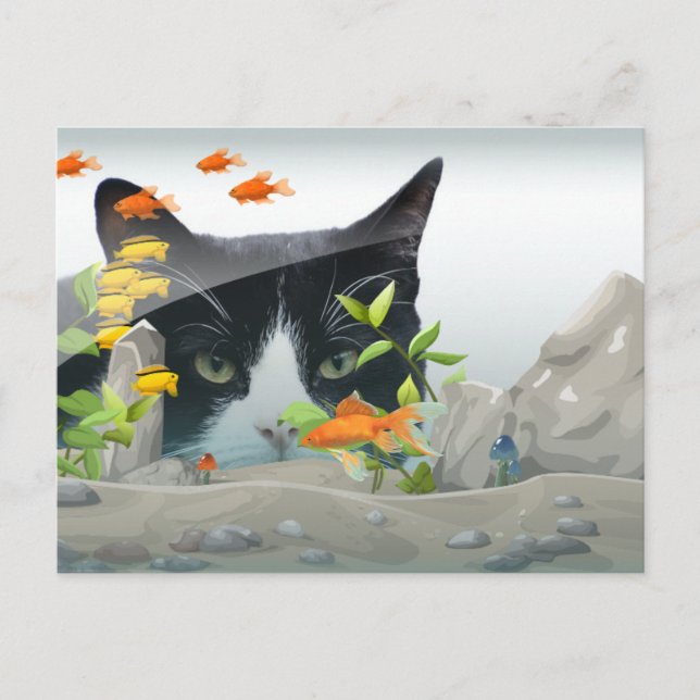 Foto för torkning i fiskens Tank Anpassningsbar Vykort (Framsida)