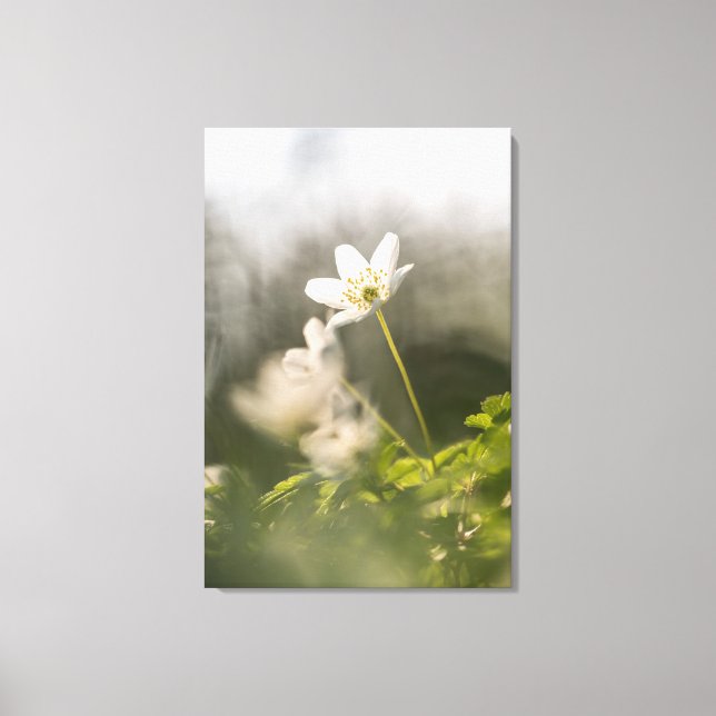 Foto för träemonnaturen canvastryck (Framsida)