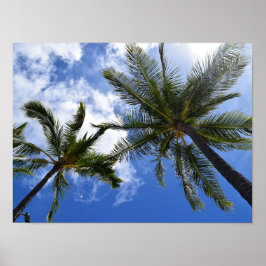 Foto för Tropical Handflatan Träd Poster