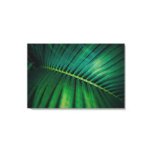 Foto för tropisk skog från grönt Löv