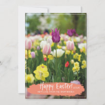 Foto för Tulip Flower Fält Vår