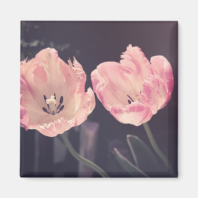 Foto för tulip-natur magnet (Framsidan)