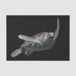 Foto för Turtle Swimming Sea Photo