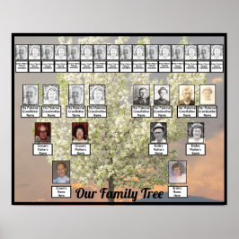 Foto för två familjers Träd-Blommar Träd | Rosa Su Poster