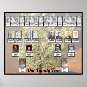 Foto för två familjers Träd-Blommar Träd   Rosa Su Poster