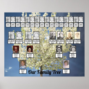 Foto för två Träd-familjers Blossoming Träd   BLÅ  Poster
