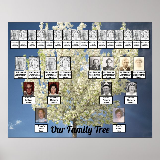 Foto för två Träd-familjers Blossoming Träd | BLÅ  Poster (Framsidan)