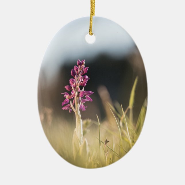 Foto för vild av orchid-natur julgransprydnad keramik (Framsidan)