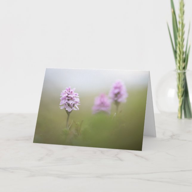 Foto för vild av orchid-natur kort (Framsida)