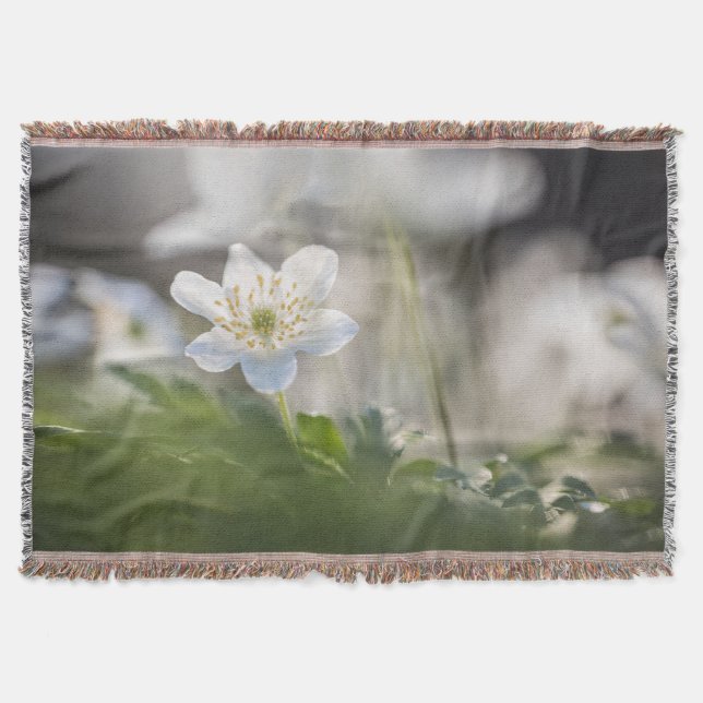 Foto för vindblomstyp filt (Framsidan)