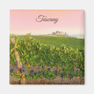 Foto för vingård för Tuscany italien italienskt Magnet