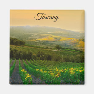 Foto för vingård för Tuscany italien italienskt Magnet