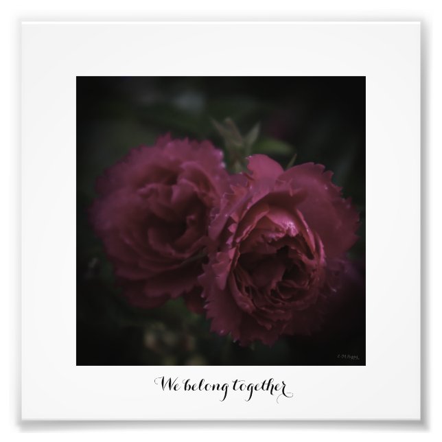 Foto förstoring We belong together  (Framsidan)