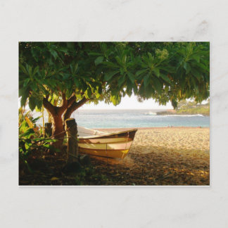 Foto från Daniela Power, Waimea Bay, sommaren Kväl Vykort