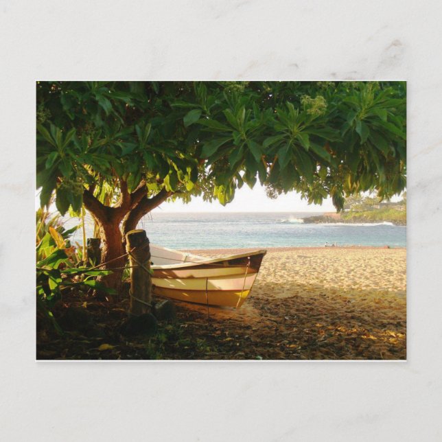 Foto från Daniela Power, Waimea Bay, sommaren Kväl Vykort (Framsida)