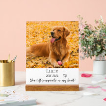 Foto Husdjur Minnesgåva Hund Förlust Present