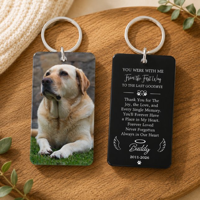 Foto Husdjur Minnessaker Sympati Citat (memorial angel wings animal in loving memory rainbow bridge sympathy death of pet bereavement loss)