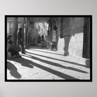 foto IV-portfölj nr 10 Poster