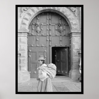 foto IV-portfölj nr 9 Poster