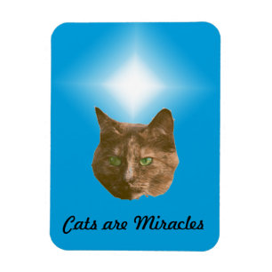 Foto-magnet - Katter är underverk Magnet
