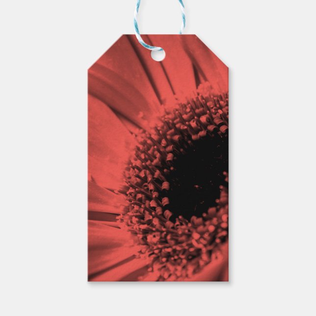 Foto, makro presentetikett (Framsidan)