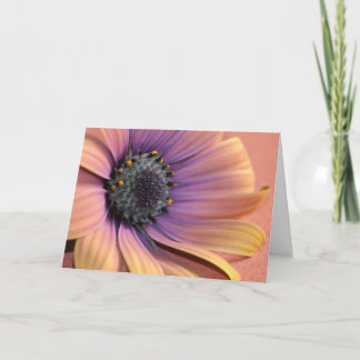 Foto och design av Charmaine Fransk-Allaka 112010 Kort