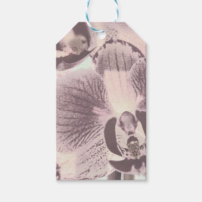 Foto, orchid, retro presentetikett (Framsidan)