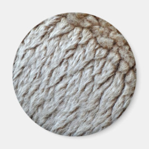 Foto på Abstrakt av fårylle Magnet