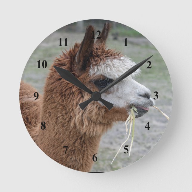 Foto på Alaca Eating Hay-djur Rund Klocka (Framsida)