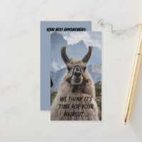Foto på anpassningsbarna Alaca-hårstilist