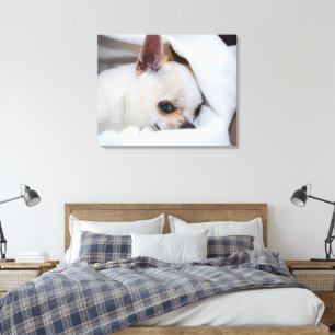 Foto på anpassningsbarna Chihuahua i din hund-valp Canvastryck