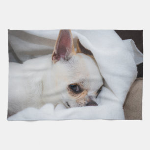Foto på anpassningsbarna Chihuahua i din hund-valp Kökshandduk