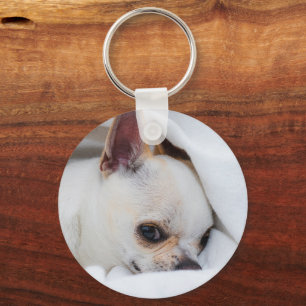 Foto på anpassningsbarna Chihuahua i din hund-valp Nyckelring
