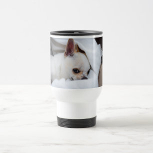 Foto på anpassningsbarna Chihuahua i din hund-valp Resemugg