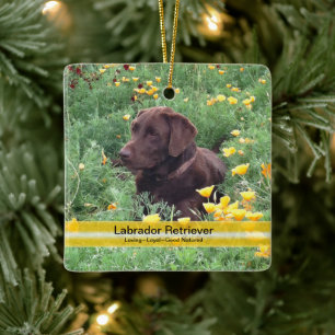 Foto på Anpassningsbarna Chocolate Lab Flower Pat Julgransprydnad Keramik
