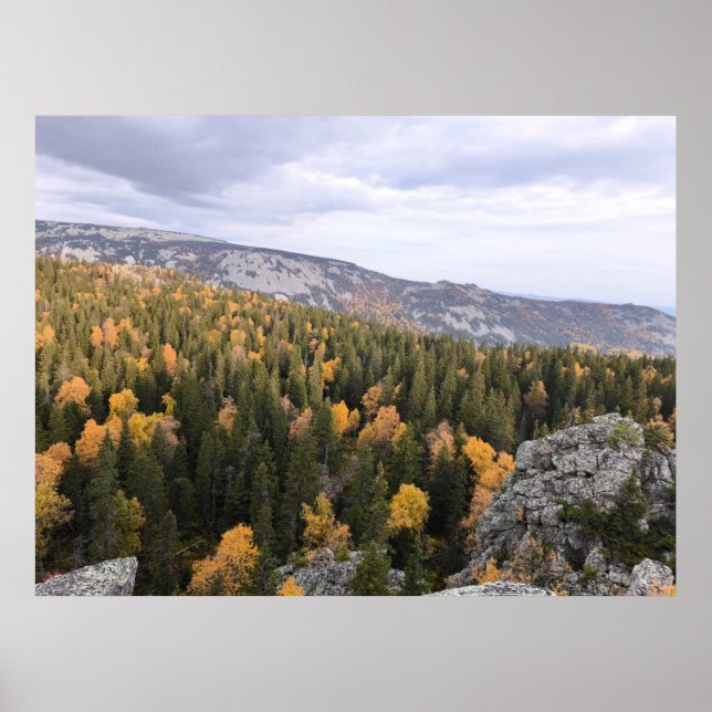 Foto på bergsskog, berg, s poster (Framsidan)