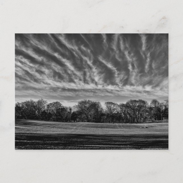 Foto på Black & White liggande Central Park Vykort (Framsida)