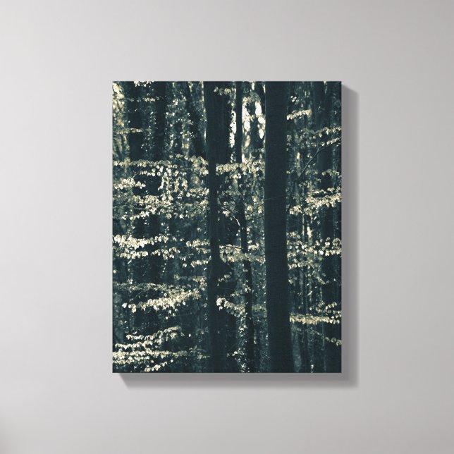 Foto på bokskog canvastryck (Framsida)