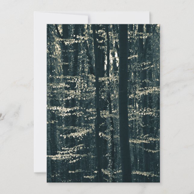 Foto på bokskog julkort (Framsida)