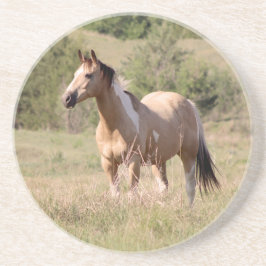 Foto på Buckskin Tobiano-häst som poserar på bete Underlägg