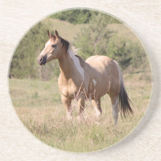 Foto på Buckskin Tobiano-häst som poserar på bete Underlägg