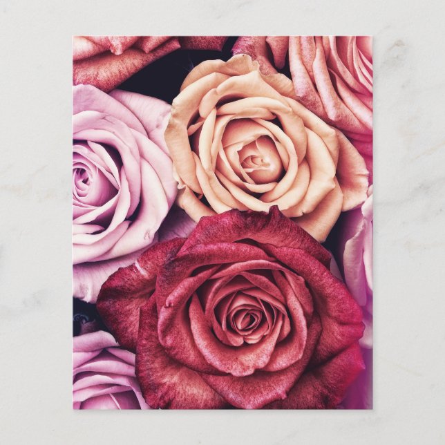 Foto på bukett med rosa rosor (Framsida)