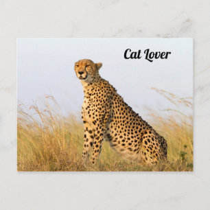 Foto på Cat Lover cheetah Vykort