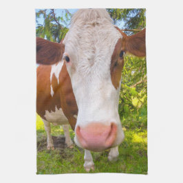 Foto på cellodling från nötkreatur från Porträtt Kökshandduk