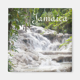Foto på Customize Dunns River Falls Magnet