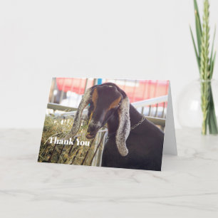 Foto på Cute Goat Long Öron Tack Kort