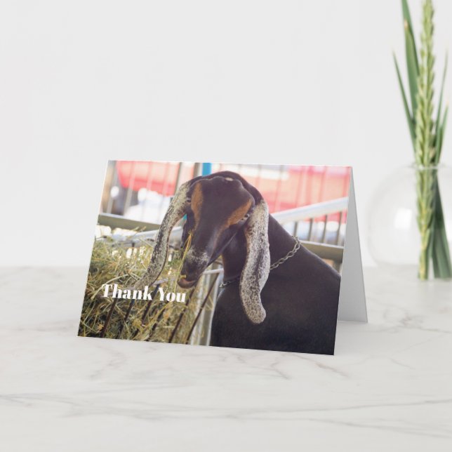 Foto på Cute Goat Long Öron Tack Kort (Framsida)